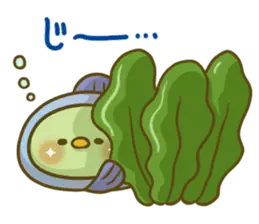 かっぱさん出番です！(うお座)