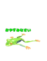 動く！カエルのオリバくん。