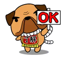 動くぜよ！土佐犬がおったとさ