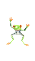動く！カエルのオリバくん。