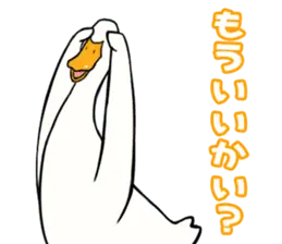 あひるさんの9