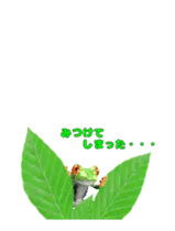 動く！カエルのオリバくん。