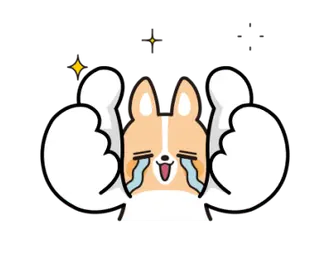動く！ちばコーギー