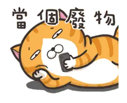動く！ランラン猫 (台湾版)