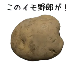 じゃがいも。