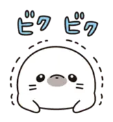 ほのぼの子アザラシ