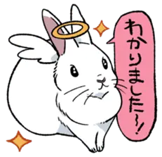 褒め殺しうさぎ天使ちゃん