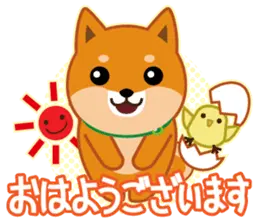 柴犬「ムサシ」１２ 敬語
