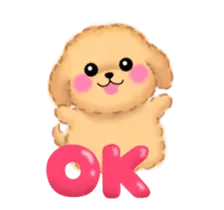 動く♪かわいい♥トイプードル