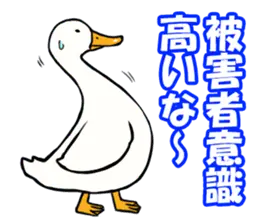 あひるさんの9