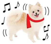 かわいい犬たち