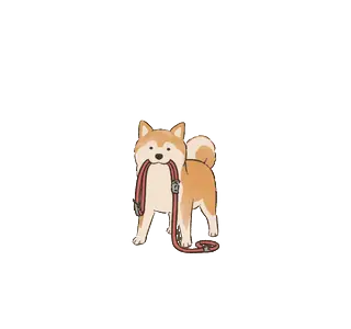 動く！柴犬（赤柴・文字なし）