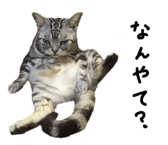 大阪弁のぱずたんぷ