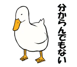 あひるさんの9