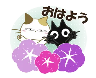 黒ねこの動くみけさん便り・3