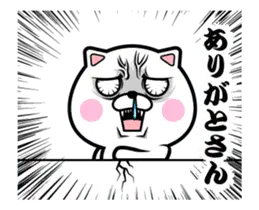 動く！何故か怒ってるネコさん