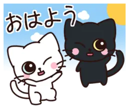 Cats First