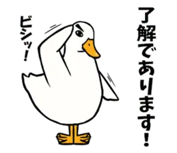 あひるさんの9