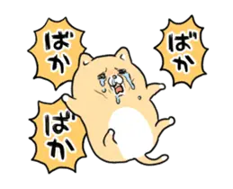動く！泣きむし猫のキィちゃん