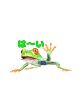 動く！カエルのオリバくん。