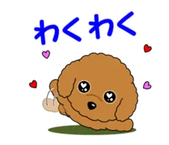 動く！赤ちゃんトイプー２０
