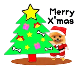 ぷーちゃんのクリスマスとお正月