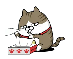 動く 擦れねこ2（キジトラ）