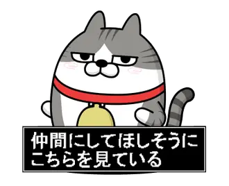 動く 擦れねこ4（サバトラ）