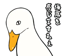 あひるさんの9
