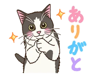 毎日使える動くねこのスタンプ
