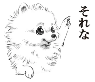 表情豊かな犬たち
