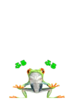 動く！カエルのオリバくん。