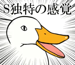 あひるさんの9