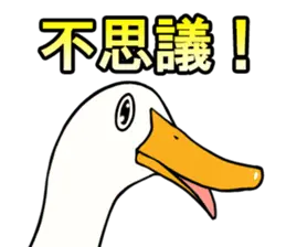 あひるさんの8