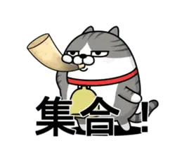 動く 擦れねこ3（サバトラ）