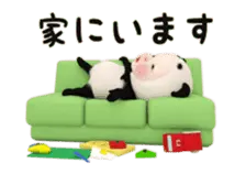 【動く】パンダタオル【毎日】