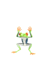 動く！カエルのオリバくん。