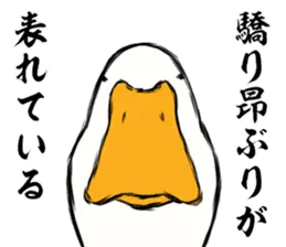 あひるさんの9