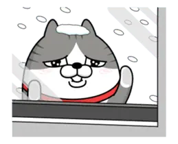 動く 擦れねこ3（サバトラ）