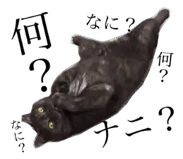 気ままふぁびくん