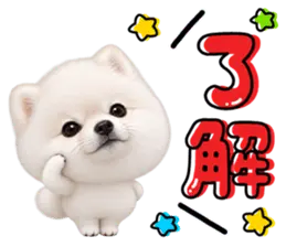 ず～っと使える♡ポメラニアンのカラフル