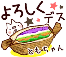 【ともちゃん】専用11