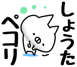 【しょうた】専用