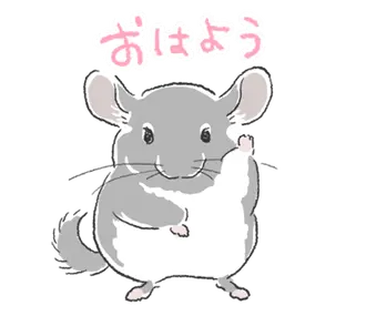 チンチラ ゆるかわ手描きタッチのスタンプ