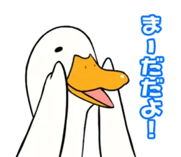 あひるさんの9