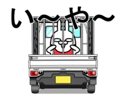 動く 擦れうさぎ9