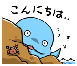 海の動物たちの日常