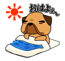 動くぜよ！土佐犬がおったとさ