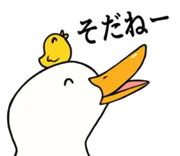 あひるさんの8