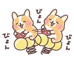 まるまるコーギー 3歳児 2